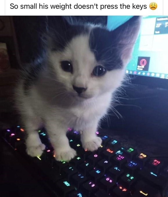 So small his weight doesn't press the keys 23° e One F10 F11 CNY