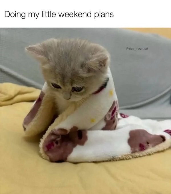 Doing my little weekend plans @the_pizzacat