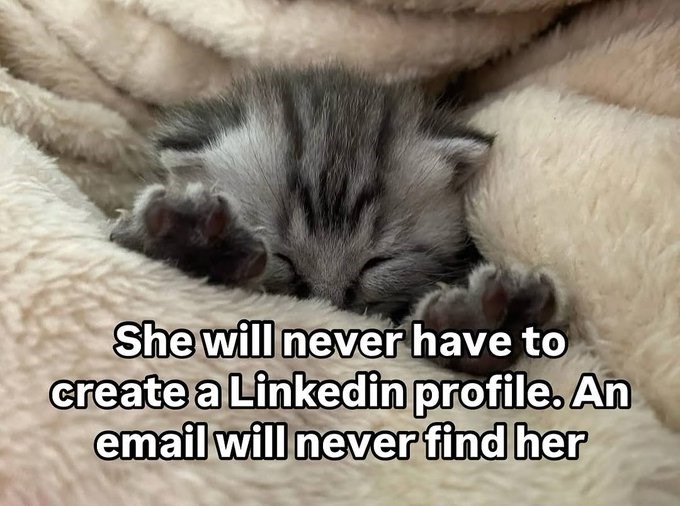She will never have to create a Linkedin profile. An email will never find her