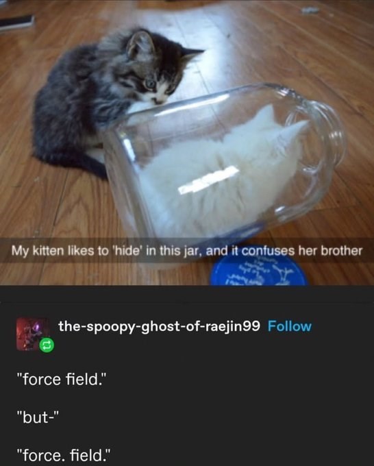 My kitten likes to 'hide' in this jar, and it confuses her brother the-spoopy-ghost-of-raejin99 Follow "force field." "but-" "force. field."