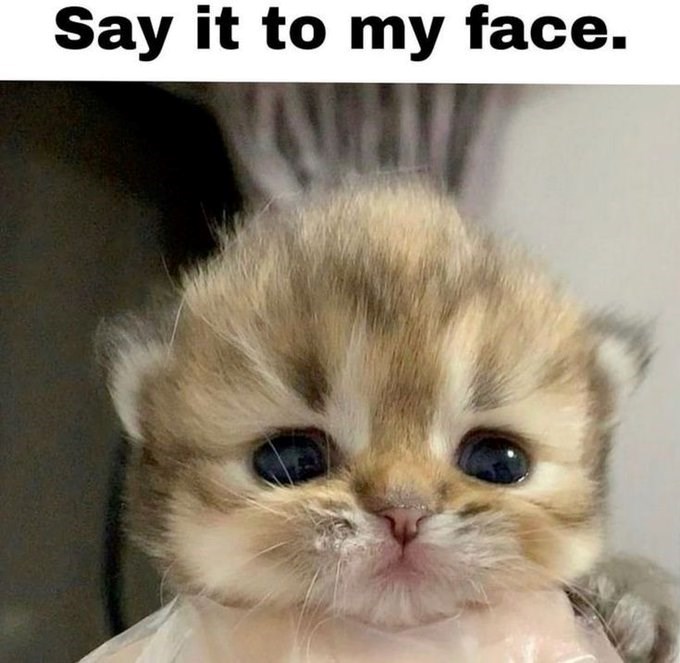 Say it to my face.