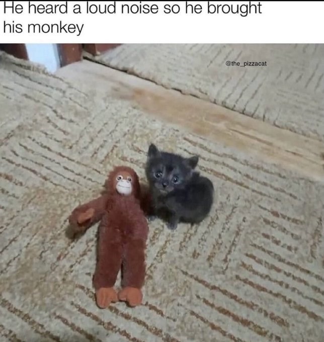 He heard a loud noise so he brought his monkey @the_pizzacat