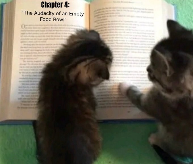 Chapter 4: "The Audacity of an Empty Food Bowl"