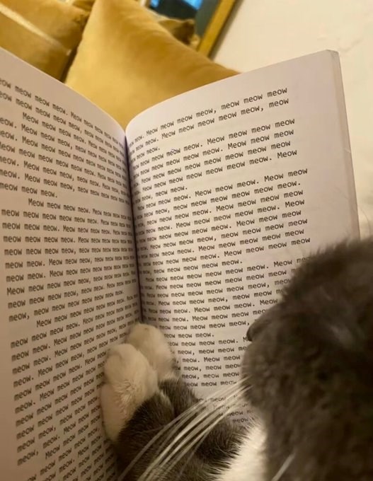 eow meow meow meow. We o eow meow meow meow meo, Meow meow meow meo, he eow. Meow meow meow, t eow. Meow meow MED TO Meow meow meow meow meow meow. Meow meow meow, no ne meow. Meow meow meow, so meow meow meow. exa Now Meow meow meow meow, meow meow meow neow, Meow meow meow meow meow, meow now neow, neow neow meow meow. Meow meow meow meow now neow meow meow meow. Meow meow meow feow meow meow meow meow meow meow meow eow meow meow meow meow meow meow. Meow Now, neow meow. neow meow meow. Meow