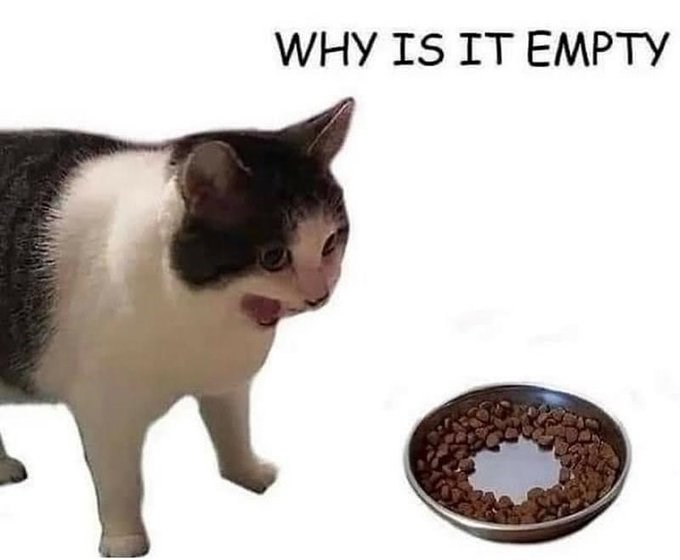 WHY IS IT EMPTY