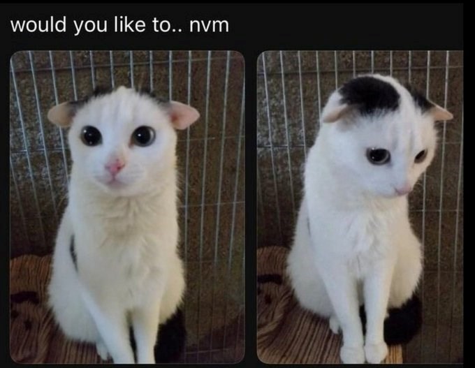 would you like to.. nvm