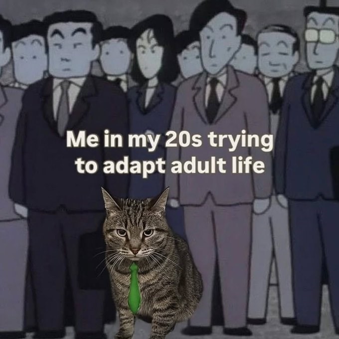 Me in my 20s trying to adapt adult life