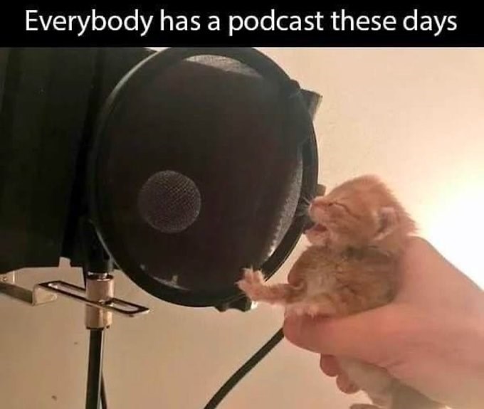 Everybody has a podcast these days