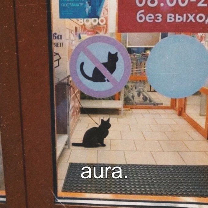 NOCTAMATE Ba ЯЕТ! B000 без выхо 31 aura.
