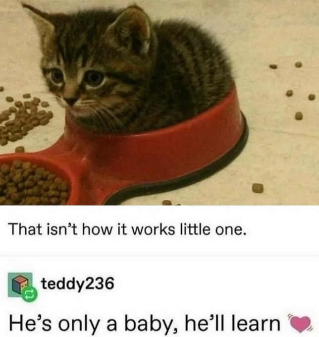 That isn't how it works little one. teddy236 He's only a baby, he'll learn