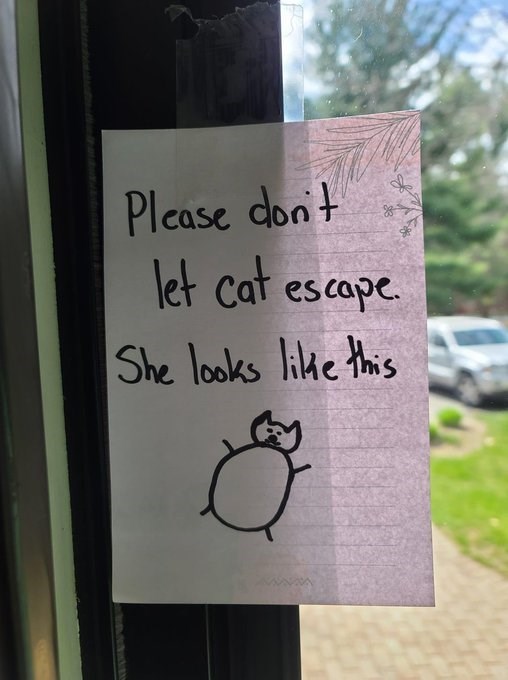 Please don't let cat escape She looks like this