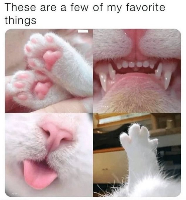 These are a few of my favorite things