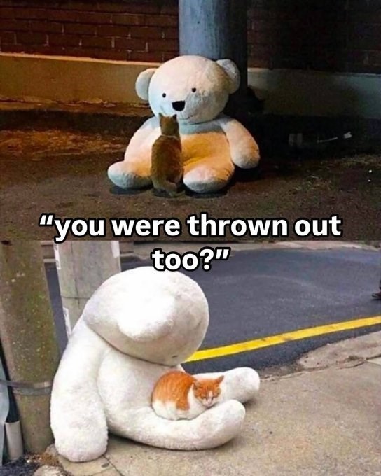 "you were thrown out too?"