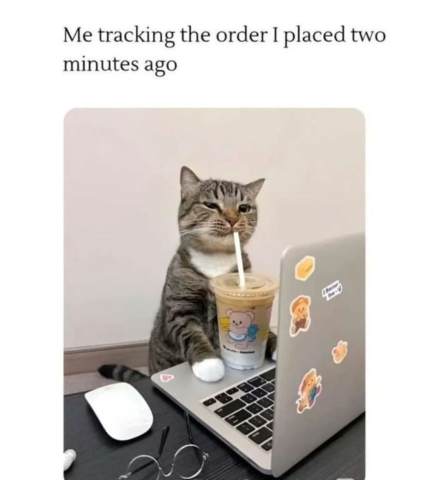Me tracking the order I placed two minutes ago