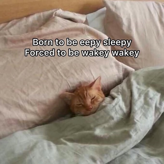 Born to be eepy sleepy Forced to be wakey wakey