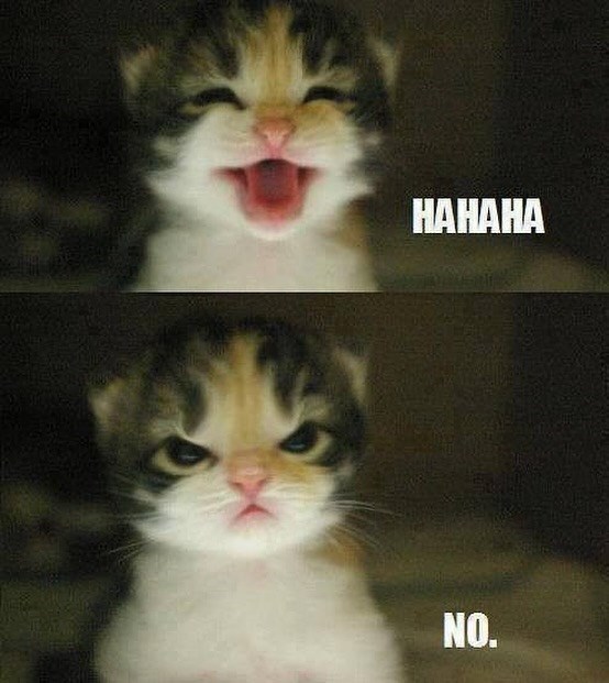 HAHAHA NO.