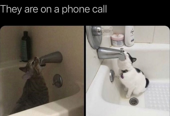 They are on a phone call