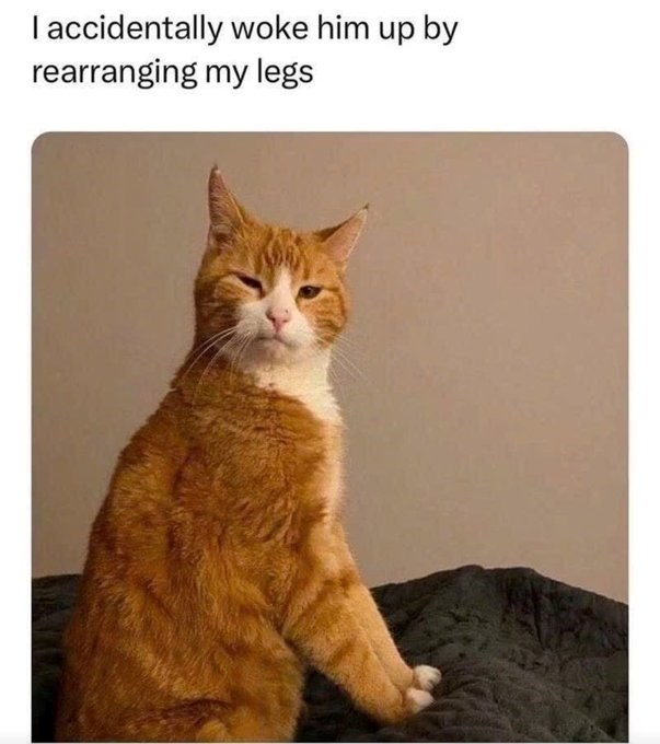 I accidentally woke him up by rearranging my legs