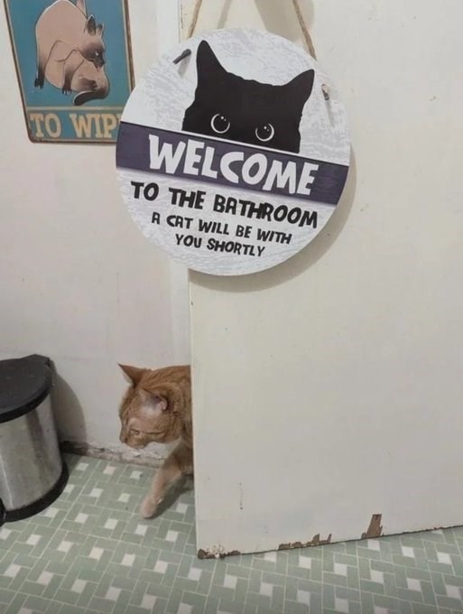 TO WIP WELCOME TO THE BATHROOM A CAT WILL BE WITH YOU SHORTLY