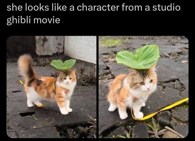 she looks like a character from a studio ghibli movie