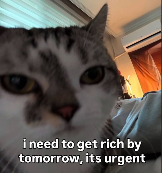 i need to get rich by tomorrow, its urgent