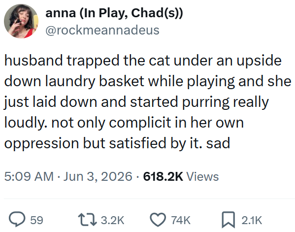 anna (In Play, Chad(s)) @rockmeannadeus husband trapped the cat under an upside down laundry basket while playing and she just laid down and started purring really loudly. not only complicit in her own oppression but satisfied by it. sad 5:09 AM ⚫ Jun 3, 2026 618.2K Views 59 13.2K 74K ☐ 2.1K
