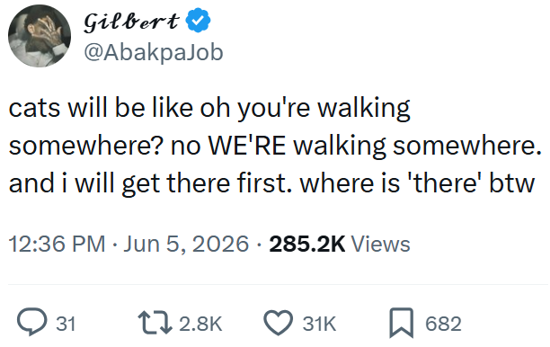 Gilbert @AbakpaJob cats will be like oh you're walking somewhere? no WE'RE walking somewhere. and i will get there first. where is 'there' btw 12:36 PM ⚫ Jun 5, 2026 285.2K Views 31 12.8K 31K 682