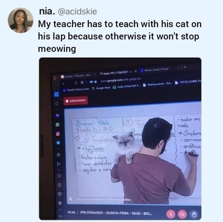 nia. @acidskie My teacher has to teach with his cat on his lap because otherwise it won't stop meowing O -1706 pts-Apm Meet 35(17/06/2021-0x meet.google.com/ph-gngb-jio Minha Conta Plural A Pura Minha Conta Google Meet Aules Online Pré-V... A e GRAVANDO Brainly.com.br-Est... TESTES SOBRE FU -nadar em nada Sintom - Corrime ardência -d Biologia Pablo Frente B-3B 4. Toxoplasmos Profilaxa: tratar a agua -lavar alimentos cynhar a carn 5 Tric 4 Gusa 25 10:46 | 3ºB (17/06/2021-QUINTA-FEIRA-10:20- BIO..