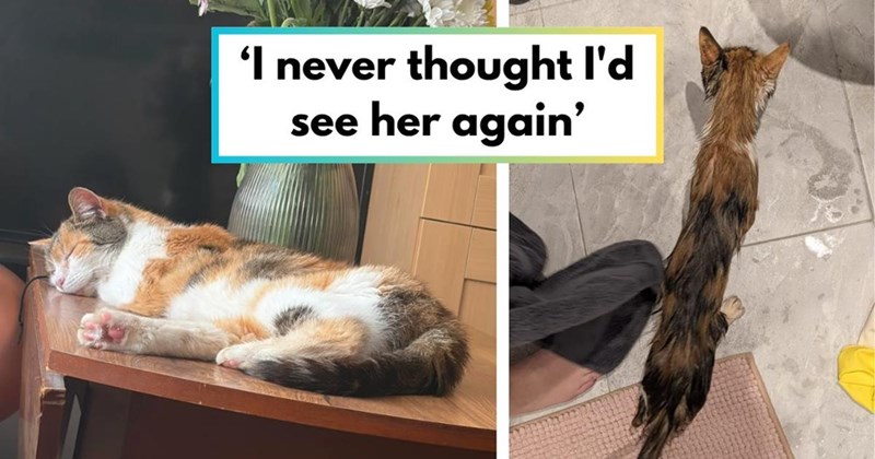 'I never thought I'd see her again'