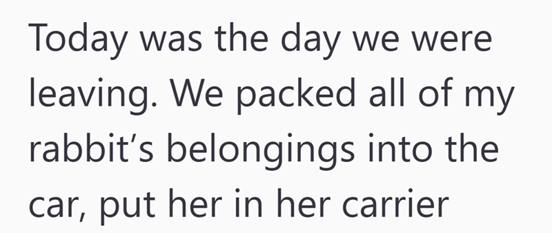 Today was the day we were leaving. We packed all of my rabbit's belongings into the car, put her in her carrier