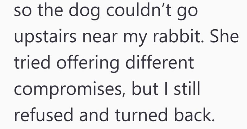 so the dog couldn't go upstairs near my rabbit. She tried offering different compromises, but I still refused and turned back.