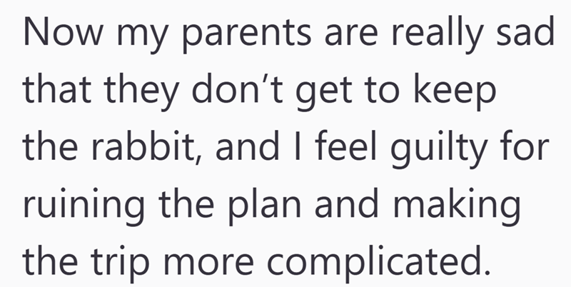 Now my parents are really sad that they don't get to keep the rabbit, and I feel guilty for ruining the plan and making the trip more complicated.