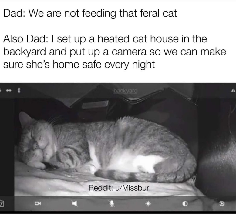 Dad: We are not feeding that feral cat Also Dad: I set up a heated cat house in the backyard and put up a camera so we can make sure she's home safe every night t O backyard Reddit: u/Missbur