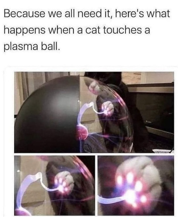 Because we all need it, here's what happens when a cat touches a plasma ball.