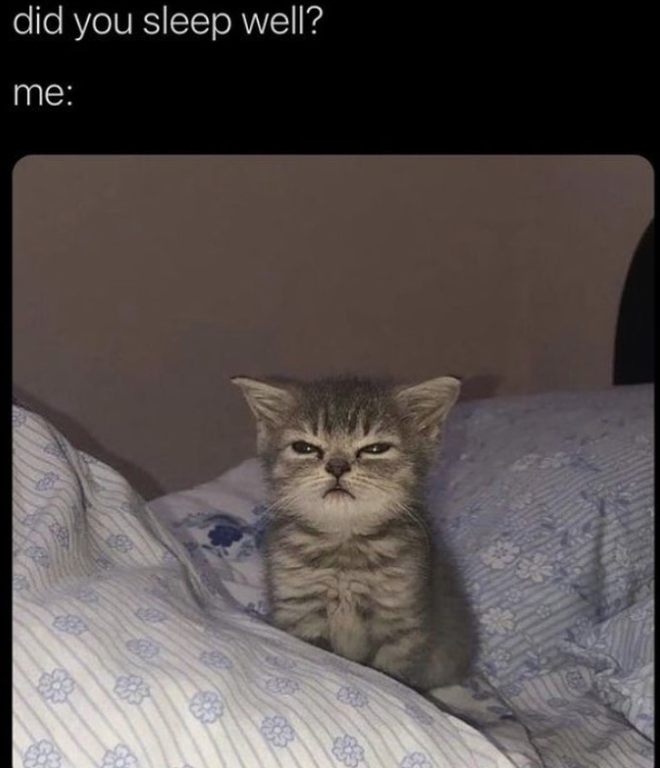 did you sleep well? me: