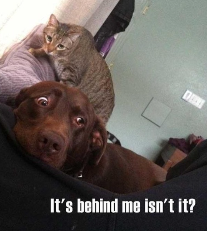 It's behind me isn't it?