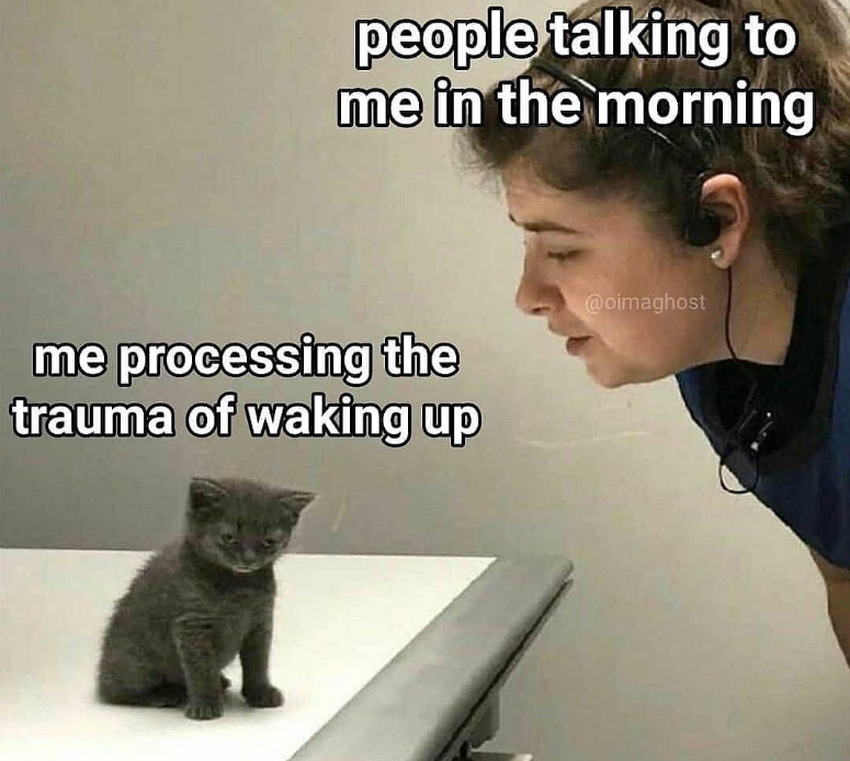 people talking to me in the morning me processing the trauma of waking up @oimaghost 4149