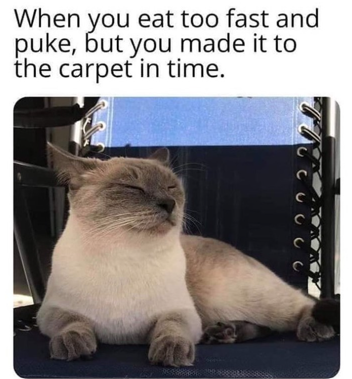 When you eat too fast and puke, but you made it to the carpet in time. C