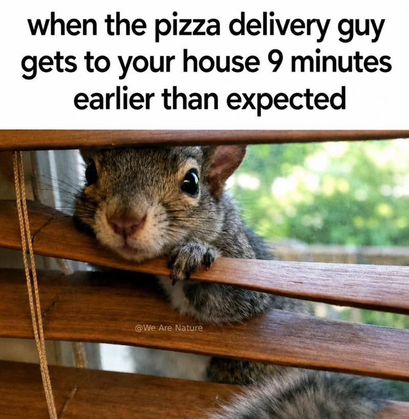 when the pizza delivery guy gets to your house 9 minutes earlier than expected @We Are Nature