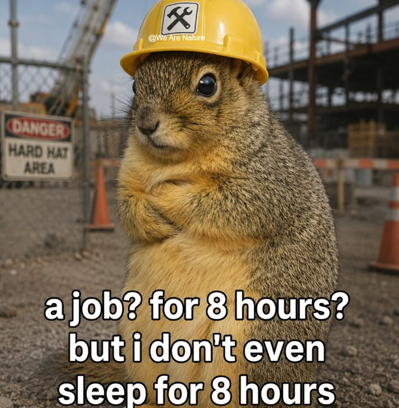 DANGER HARD HAT AREA x @We Are Nature a job? for 8 hours? but i don't even sleep for 8 hours