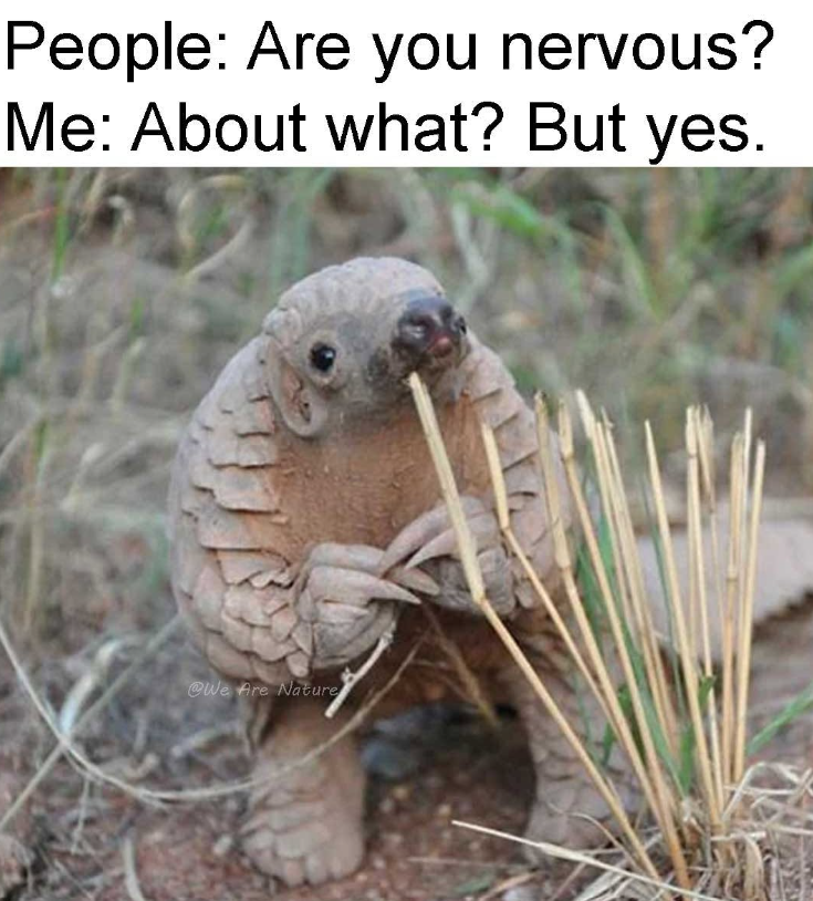 People: Are you nervous? Me: About what? But yes. We Are Nature