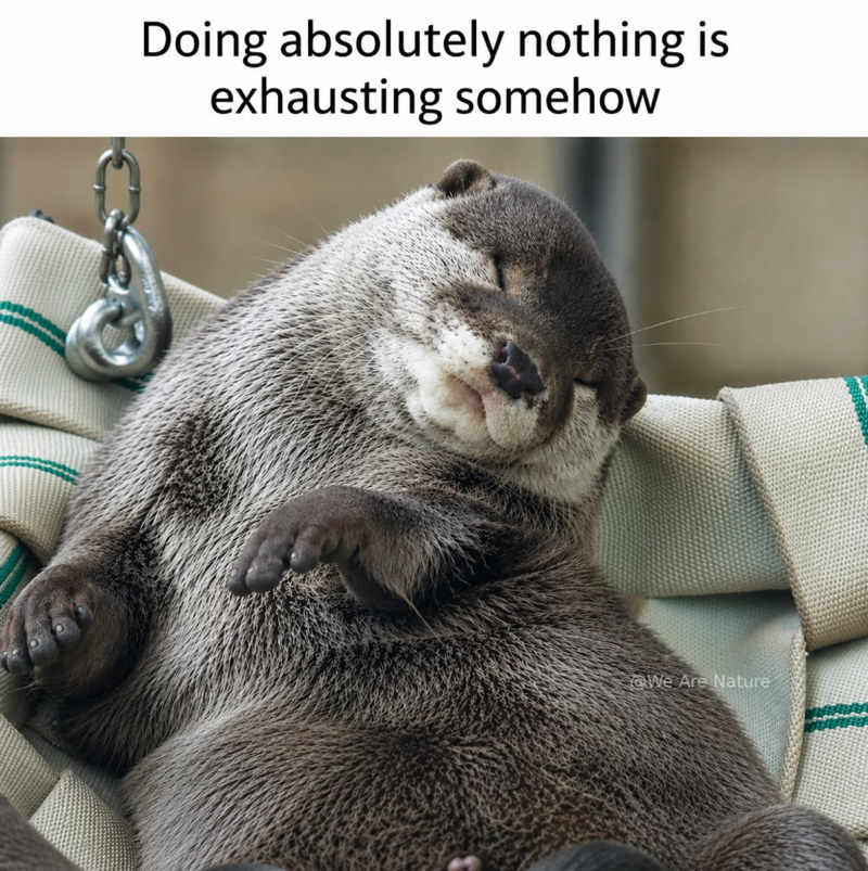 Doing absolutely nothing is exhausting somehow We Are Nature