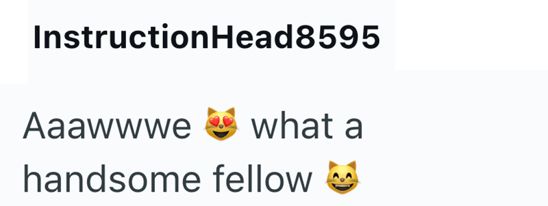 InstructionHead8595 Aaawwwe what a handsome fellow