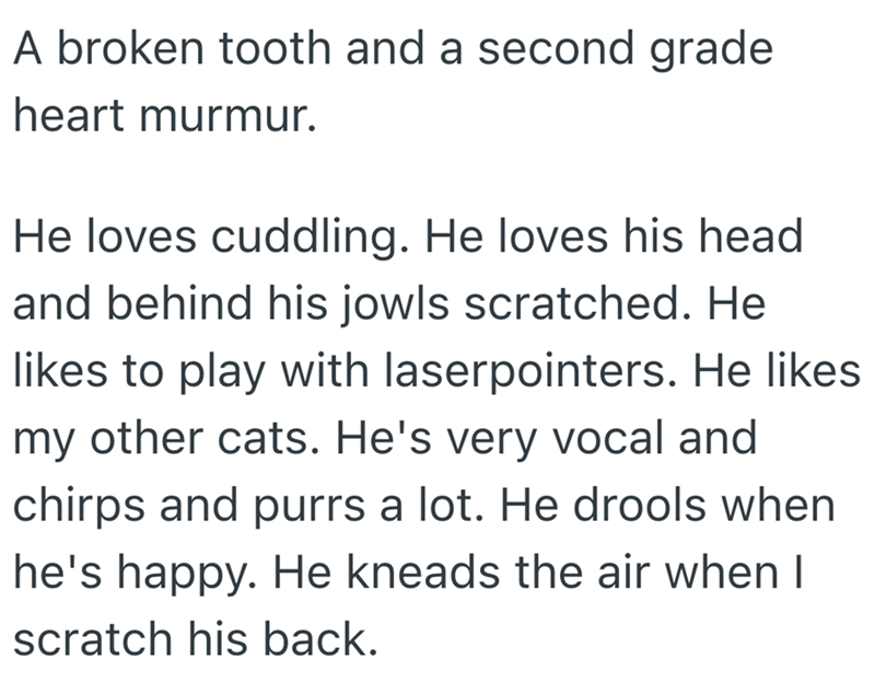 A broken tooth and a second grade heart murmur. He loves cuddling. He loves his head and behind his jowls scratched. He likes to play with laserpointers. He likes my other cats. He's very vocal and chirps and purrs a lot. He drools when he's happy. He kneads the air when I scratch his back.