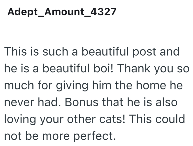 Adept Amount_4327 This is such a beautiful post and he is a beautiful boi! Thank you so much for giving him the home he never had. Bonus that he is also loving your other cats! This could not be more perfect.