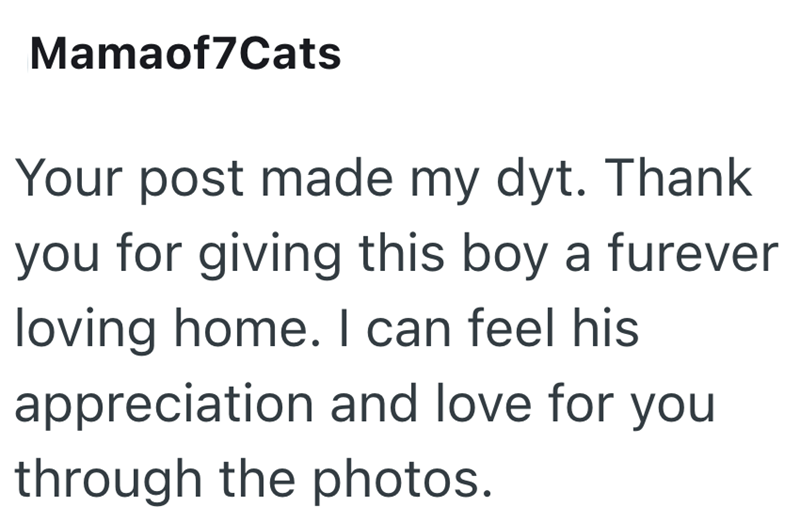 Mamaof7Cats Your post made my dyt. Thank you for giving this boy a furever loving home. I can feel his appreciation and love for you through the photos.