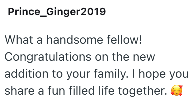 Prince_Ginger2019 What a handsome fellow! Congratulations on the new addition to your family. I hope you share a fun filled life together.