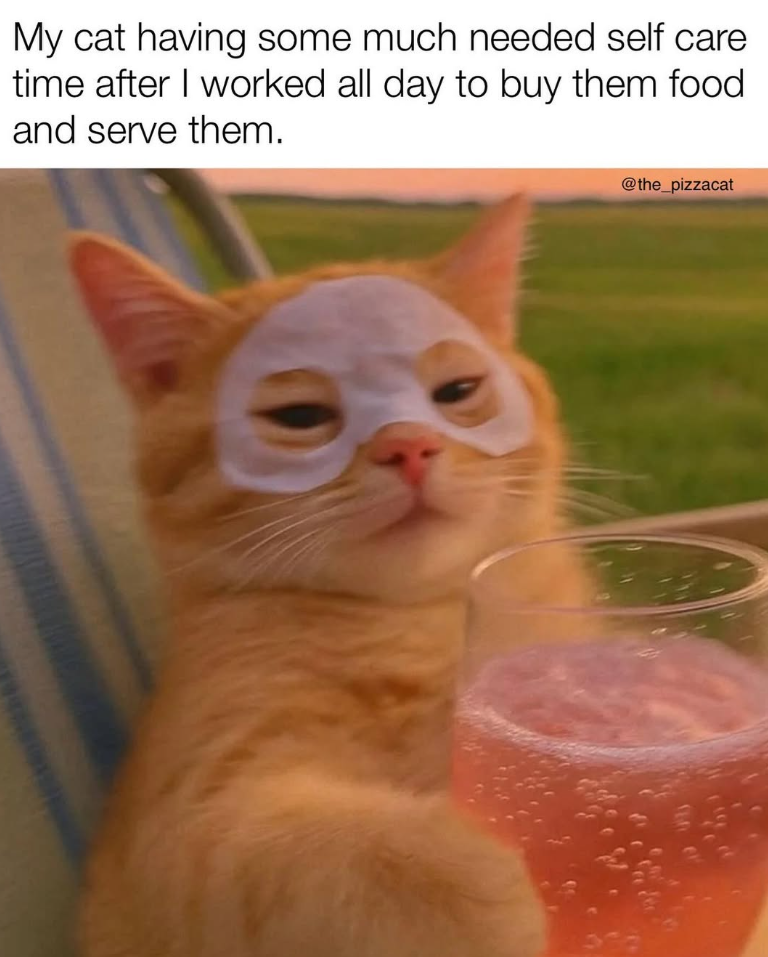 My cat having some much needed self care time after I worked all day to buy them food and serve them. @the_pizzacat