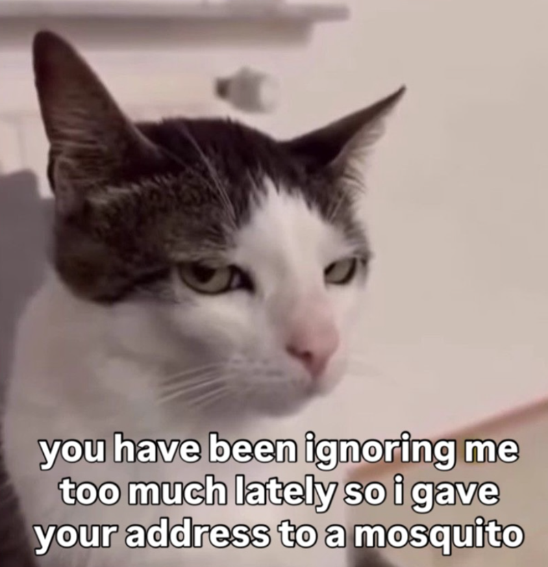 you have been ignoring me too much lately so i gave your address to a mosquito