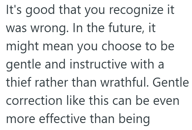 It's good that you recognize it was wrong. In the future, it might mean you choose to be gentle and instructive with a thief rather than wrathful. Gentle correction like this can be even more effective than being